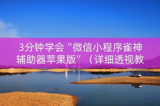 3分钟学会“微信小程序雀神辅助器苹果版”（详细透视教程）-哔哩哔哩