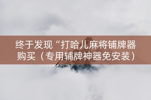 终于发现“打哈儿麻将铺牌器购买（专用辅牌神器免安装）