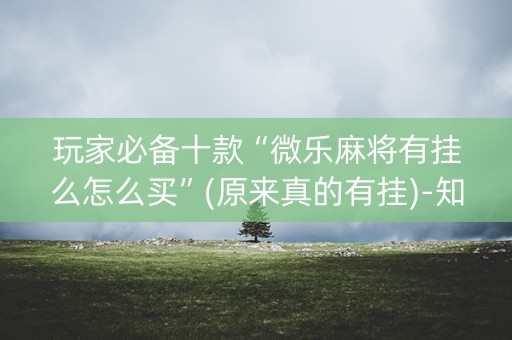 玩家必备十款“微乐麻将有挂么怎么买”(原来真的有挂)-知乎