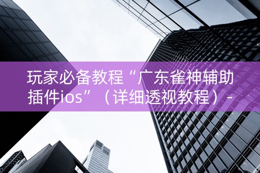 玩家必备教程“广东雀神辅助插件ios”（详细透视教程）-哔哩哔哩