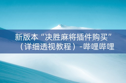 新版本“决胜麻将插件购买”（详细透视教程）-哔哩哔哩