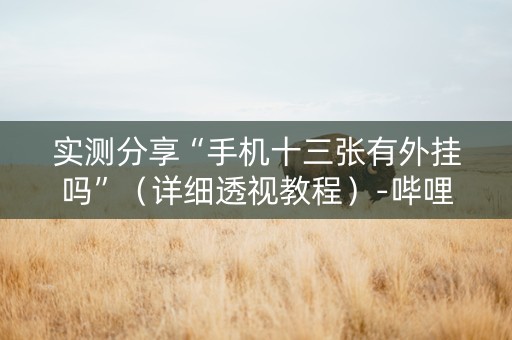 实测分享“手机十三张有外挂吗”（详细透视教程）-哔哩哔哩