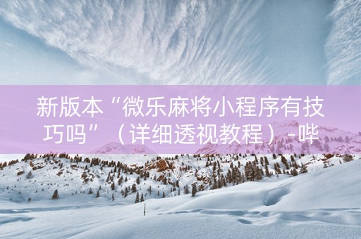 新版本“微乐麻将小程序有技巧吗”（详细透视教程）-哔哩哔哩