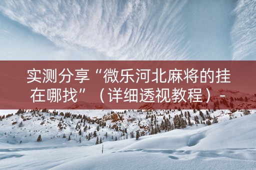实测分享“微乐河北麻将的挂在哪找”（详细透视教程）-哔哩哔哩