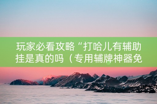 玩家必看攻略“打哈儿有辅助挂是真的吗（专用辅牌神器免安装）