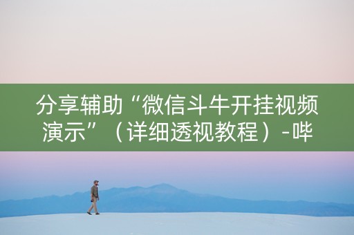 分享辅助“微信斗牛开挂视频演示”（详细透视教程）-哔哩哔哩