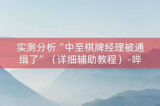 实测分析“中至棋牌经理被通缉了”（详细辅助教程）-哔哩哔哩