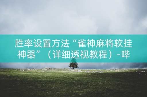 胜率设置方法“雀神麻将软挂神器”（详细透视教程）-哔哩哔哩