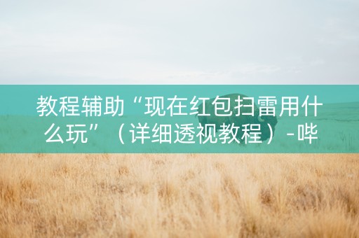 教程辅助“现在红包扫雷用什么玩”（详细透视教程）-哔哩哔哩