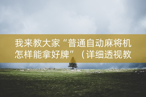 我来教大家“普通自动麻将机怎样能拿好牌”（详细透视教程）-哔哩哔哩