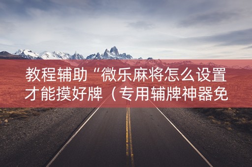 教程辅助“微乐麻将怎么设置才能摸好牌（专用辅牌神器免安装）