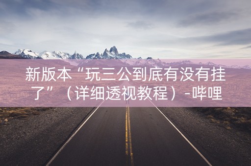 新版本“玩三公到底有没有挂了”（详细透视教程）-哔哩哔哩