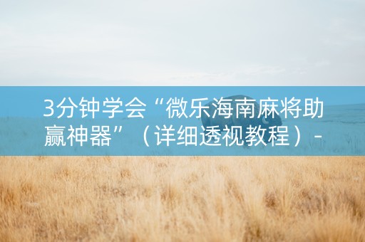 3分钟学会“微乐海南麻将助赢神器”（详细透视教程）-哔哩哔哩