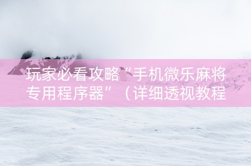 玩家必看攻略“手机微乐麻将专用程序器”（详细透视教程）-哔哩哔哩