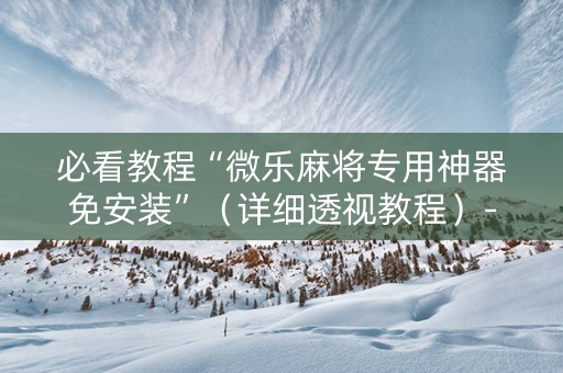 必看教程“微乐麻将专用神器免安装”（详细透视教程）-哔哩哔哩
