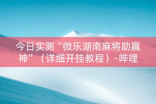 今日实测“微乐湖南麻将助赢神”（详细开挂教程）-哔哩哔哩