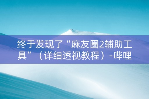 终于发现了“麻友圈2辅助工具”（详细透视教程）-哔哩哔哩