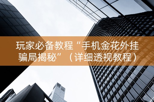 玩家必备教程“手机金花外挂骗局揭秘”（详细透视教程）-哔哩哔哩