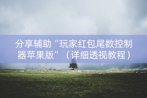 分享辅助“玩家红包尾数控制器苹果版”（详细透视教程）-哔哩哔哩