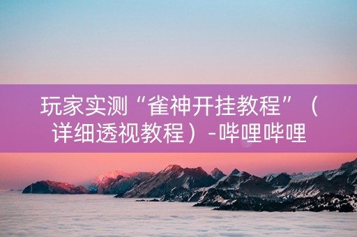 玩家实测“雀神开挂教程”（详细透视教程）-哔哩哔哩