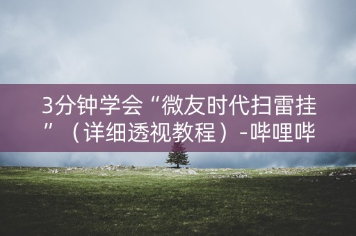3分钟学会“微友时代扫雷挂”（详细透视教程）-哔哩哔哩