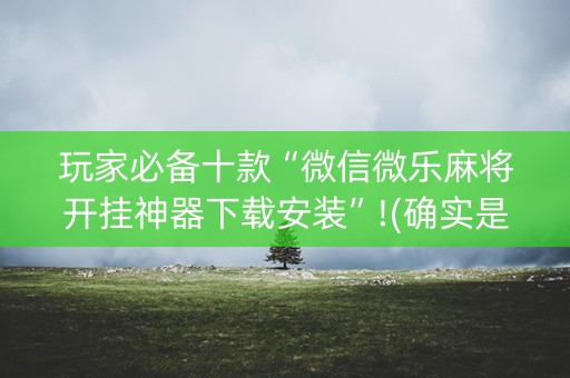 玩家必备十款“微信微乐麻将开挂神器下载安装”!(确实是有挂)-知乎
