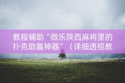 教程辅助“微乐陕西麻将里的扑克助赢神器”（详细透视教程）-哔哩哔哩