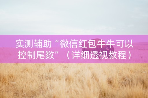 实测辅助“微信红包牛牛可以控制尾数”（详细透视教程）-哔哩哔哩