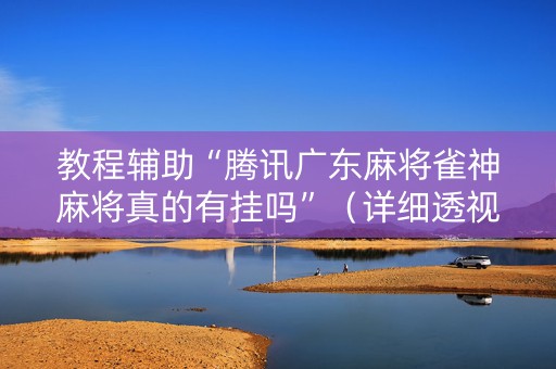 教程辅助“腾讯广东麻将雀神麻将真的有挂吗”（详细透视教程）-哔哩哔哩