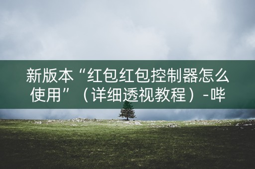 新版本“红包红包控制器怎么使用”（详细透视教程）-哔哩哔哩