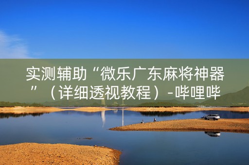 实测辅助“微乐广东麻将神器”（详细透视教程）-哔哩哔哩
