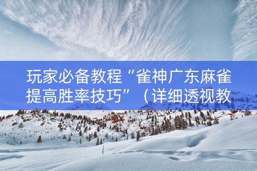 玩家必备教程“雀神广东麻雀提高胜率技巧”（详细透视教程）-哔哩哔哩