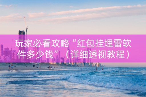 玩家必看攻略“红包挂埋雷软件多少钱”（详细透视教程）-哔哩哔哩