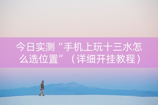 今日实测“手机上玩十三水怎么选位置”（详细开挂教程）-哔哩哔哩