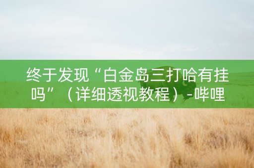 终于发现“白金岛三打哈有挂吗”（详细透视教程）-哔哩哔哩