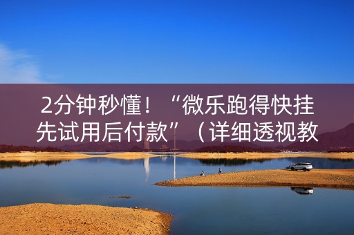 2分钟秒懂！“微乐跑得快挂先试用后付款”（详细透视教程）-哔哩哔哩