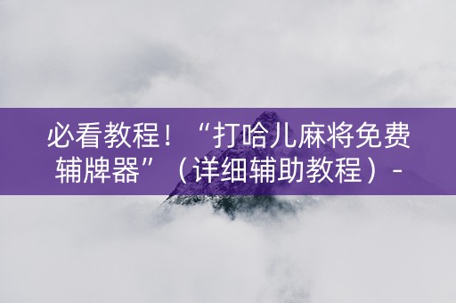 必看教程！“打哈儿麻将免费辅牌器”（详细辅助教程）-哔哩哔哩