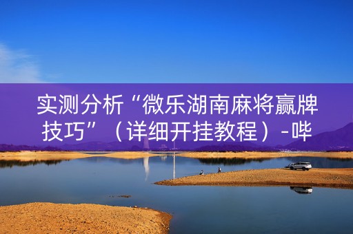 实测分析“微乐湖南麻将赢牌技巧”（详细开挂教程）-哔哩哔哩