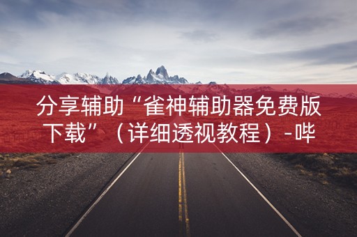 分享辅助“雀神辅助器免费版下载”（详细透视教程）-哔哩哔哩