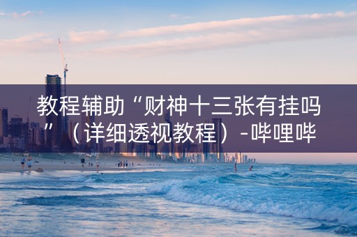 教程辅助“财神十三张有挂吗”（详细透视教程）-哔哩哔哩