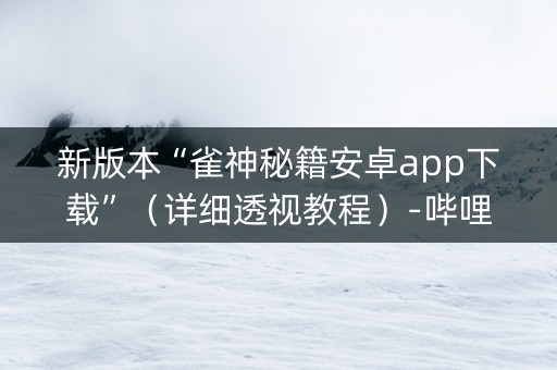 新版本“雀神秘籍安卓app下载”（详细透视教程）-哔哩哔哩