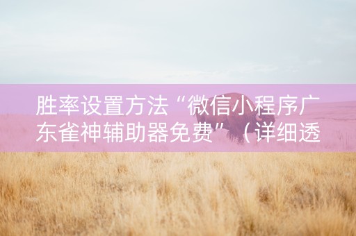 胜率设置方法“微信小程序广东雀神辅助器免费”（详细透视教程）-哔哩哔哩