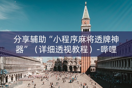 分享辅助“小程序麻将透牌神器”（详细透视教程）-哔哩哔哩