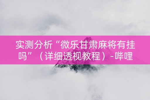 实测分析“微乐甘肃麻将有挂吗”（详细透视教程）-哔哩哔哩