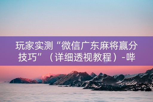 玩家实测“微信广东麻将赢分技巧”（详细透视教程）-哔哩哔哩