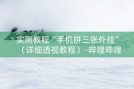 实测教程“手机拼三张外挂”（详细透视教程）-哔哩哔哩