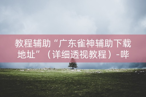 教程辅助“广东雀神辅助下载地址”（详细透视教程）-哔哩哔哩