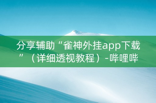 分享辅助“雀神外挂app下载”（详细透视教程）-哔哩哔哩