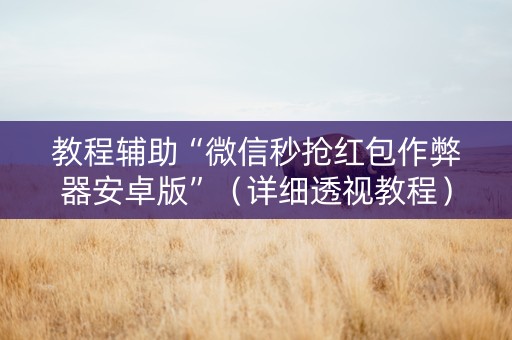 教程辅助“微信秒抢红包作弊器安卓版”（详细透视教程）-哔哩哔哩