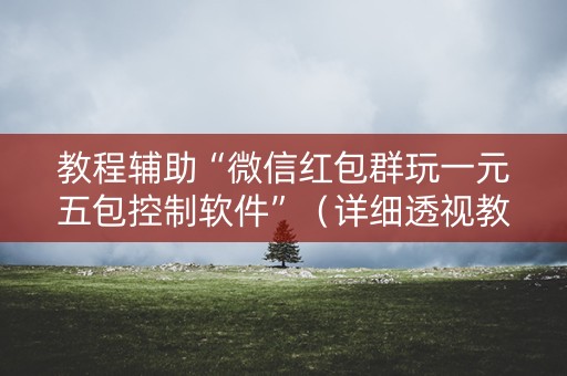 教程辅助“微信红包群玩一元五包控制软件”（详细透视教程）-哔哩哔哩